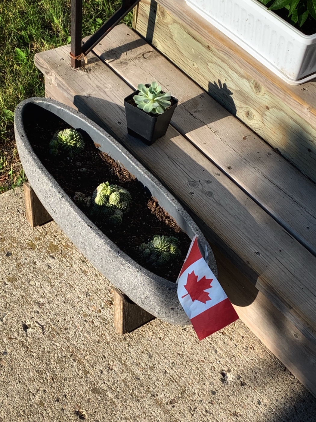 Happy Canada Day! Bonne fête du Canada!